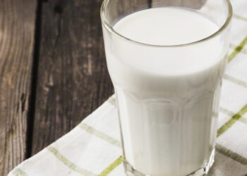 Seminário do Leite e Derivados aborda produção, legislação e tendências do setor lácteo na Jornada AlimentaAção 2019
