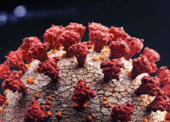 Reinfecção por covid-19: caso de americano com 2ª vez mais grave levanta questões sobre imunidade