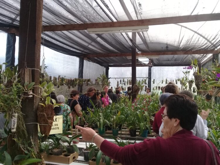 Concluído primeiro Curso de Cultivo de Orquídeas em Roca Sales