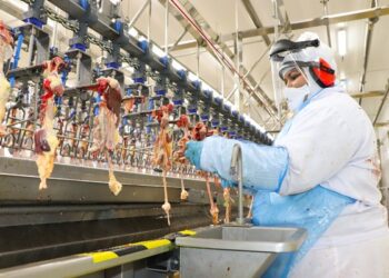 Dália pode exportar carne de frango a países de origem muçulmana