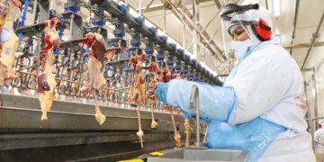 Dália pode exportar carne de frango a países de origem muçulmana