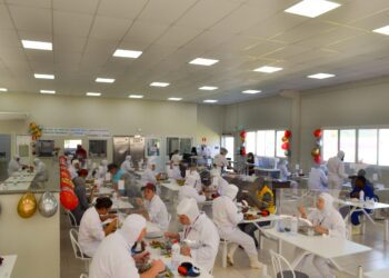 Um ano de abate e surpresa aos funcionários