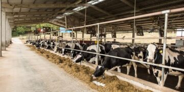 Dália receberá 5º Prêmio Vencedores do Agronegócio