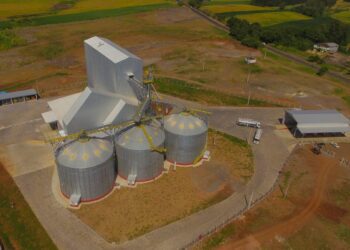 Dália começa a receber trigo para elaboração de rações