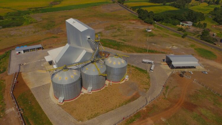 Dália começa a receber trigo para elaboração de rações