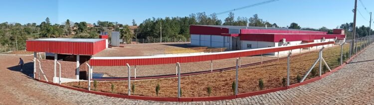 Incubatório Dália atinge incubação de 175 mil pintinhos por semana