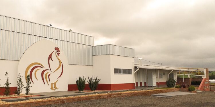 Matrizeiro ASA completa um ano de atividades