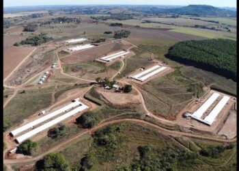 Antes de alojar as aves, Matrizeiro recebe visitantes