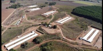 Antes de alojar as aves, Matrizeiro recebe visitantes