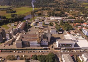 Dália Alimentos distribui mais de R$ 73 milhões em retorno e benefícios aos associados, aos funcionários e à comunidade