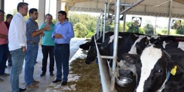 Governador do Piauí é o primeiro do país a conhecer projeto com robôs da Dália Alimentos