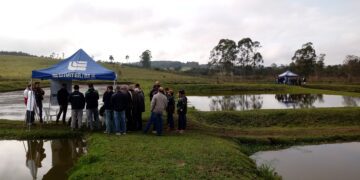Mais de 200 pessoas prestigiam dia de campo em Produção de Tilápias em Fazenda Vilanova