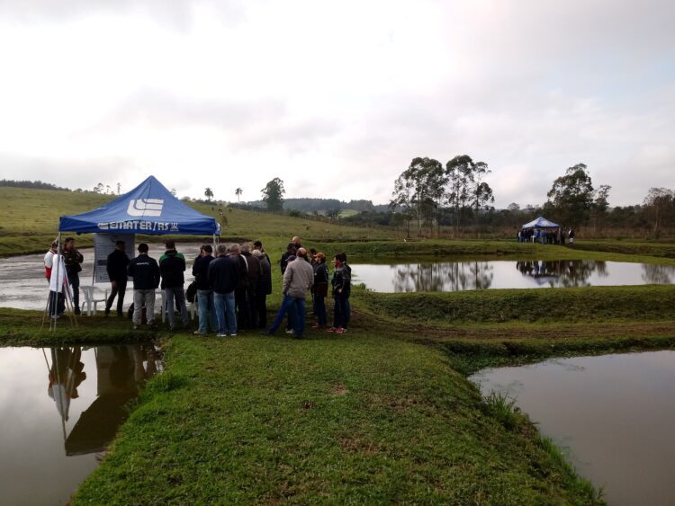 Mais de 200 pessoas prestigiam dia de campo em Produção de Tilápias em Fazenda Vilanova