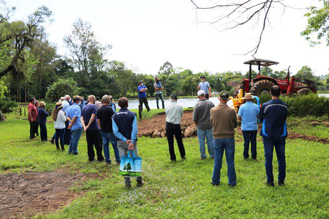 Dia de Campo em Estrela discute irrigação, solos, pastagens, dieta para bovinos e controle biológico