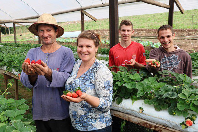 Família Piffer de Progresso encontra na diversificação da produção o caminho para a sucessão rural