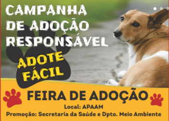 ADOTE FÁCIL – Município e APAAM lançam Campanha de adoção responsável de cães