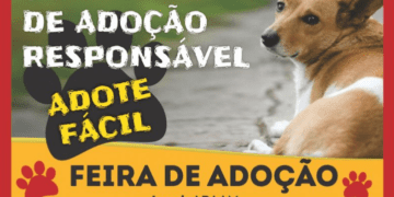 ADOTE FÁCIL – Município e APAAM lançam Campanha de adoção responsável de cães