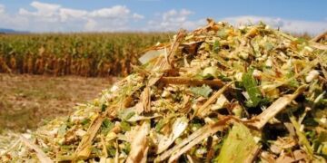 Auxílio Silagem: Incentivo Agrícola é pago aos produtores rurais