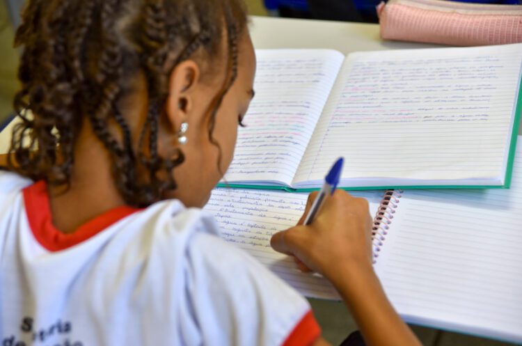 Ministro diz que orçamento da educação deve crescer em 2019