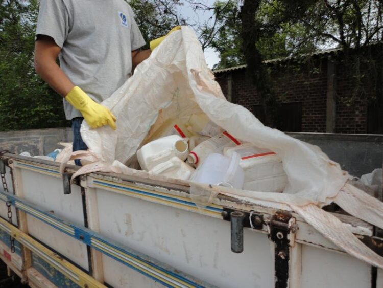 42,8 mil embalagens de agrotóxicos recolhidas em oito edições