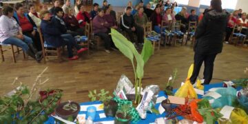 Evento sobre agroecologia em Colinas promove troca de mudas, semente crioulas e talos