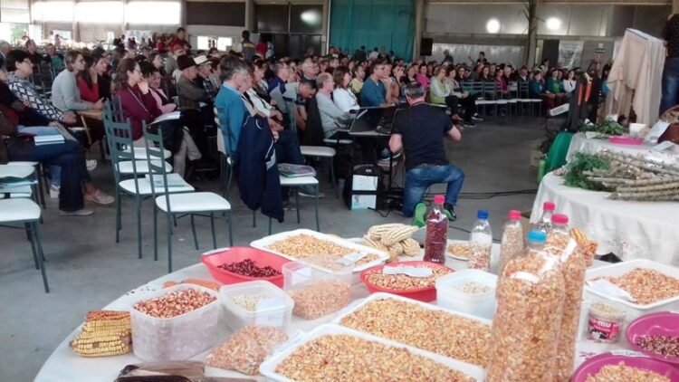 Cerca de 400 pessoas participam de Encontro Diocesano de Sementes Crioulas em Ilópolis