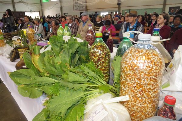 Pouso Novo programa 3º Encontro da Soberania Alimentar e Troca de Sementes