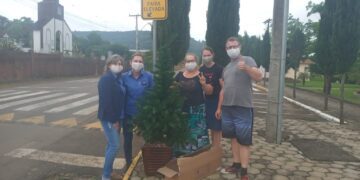 Forquetinha: Comunidade ajuda a enfeitar pinheirinhos