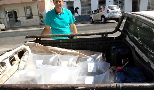 Roca Sales realiza campanha de entrega de alevinos