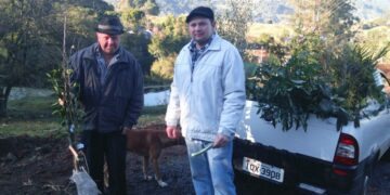 Equipe da Secretaria da Agricultura fez a entrega de mudas frutíferas