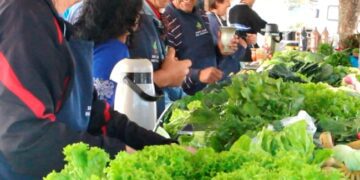 Feira de alimentos saudáveis completa 1 ano