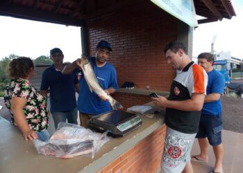 Feira de Peixe nos dias 17 e 18