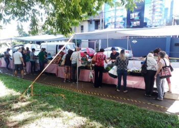 Feira Regional de Agricultores Agroecologistas de Lajeado terá edição no feriado