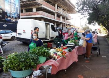 Feira Regional de Agricultores Agroecologistas de Lajeado terá edição no feriado