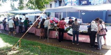 Feira Regional de Agricultores Agroecologistas de Lajeado terá edição no feriado
