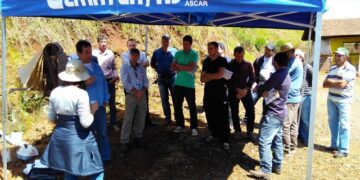 Fertirrigação é tema de tarde de campo em Putinga
