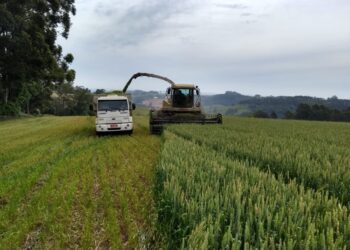 14º Fórum Tecnológico do Leite de Teutônia terá edição online