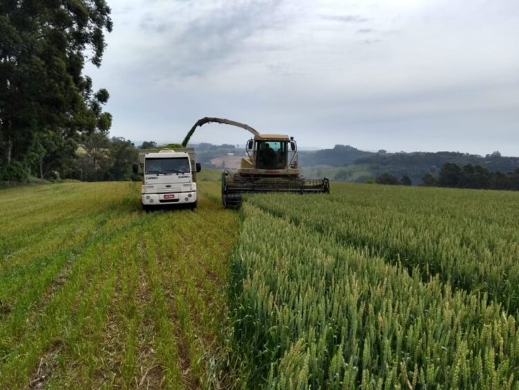 14º Fórum Tecnológico do Leite de Teutônia terá edição online