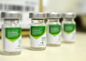 Estado recebe novo lote de vacinas contra a influenza