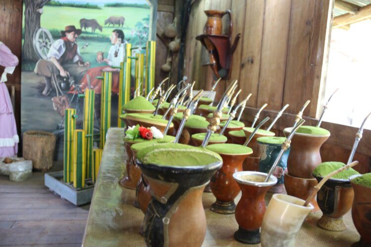 Venâncio continua em busca de destaque no turismo rural