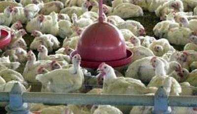 Ambos países têm um prazo de 60 dias para recorrer da decisão (Foto: Arquivo/Agência Brasil)