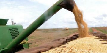 Produtor pode solicitar recursos do Plano Safra 2017/2018 a partir de hoje