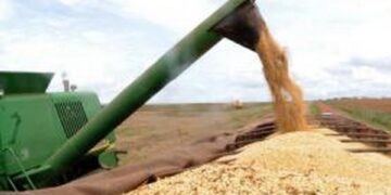 Safra brasileira deverá crescer 13,9% em 2017, diz IBGE