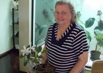 Após 15 anos orquídea centenária flores