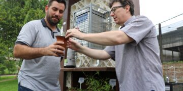 Emater/RS-Ascar é responsável por horta suspensa em Praça de Marques de Souza