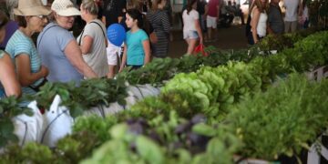 Horta em pequenos espaços e produção de alimentos saudáveis são incentivados na feira