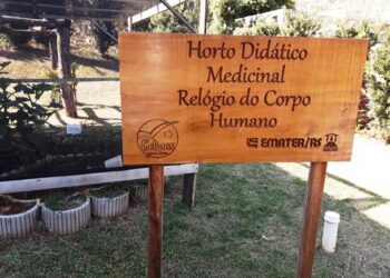 Horto didático auxilia população de Colinas a identificar plantas bioativas