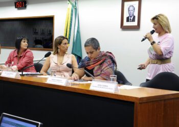 Plataforma virtual de combate à violência doméstica vai atender vítimas e propor soluções