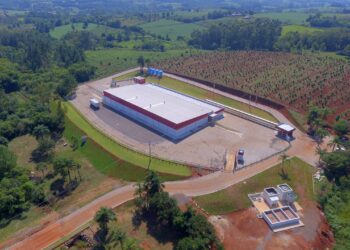 Energia Limpa e renovável na Dália de Mato Leitão