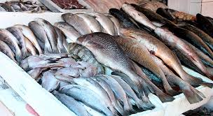 Feira do Peixe Vivo de Lajeado ocorrerá durante a Semana Santa
